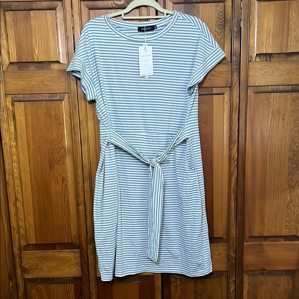 Striped Blue and White Dress